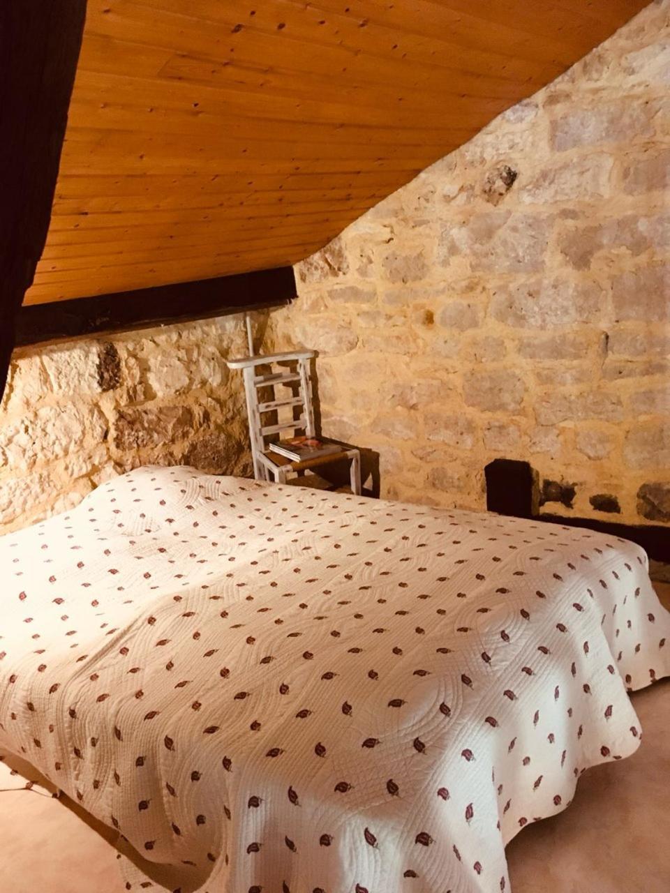 Maison de vacances Le Mas des papillons Fargues  Extérieur photo