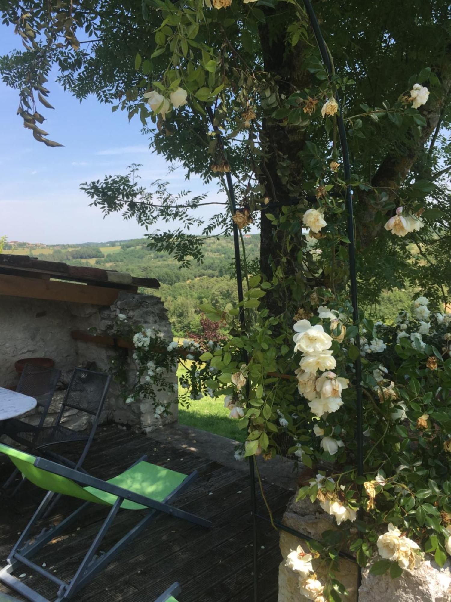 Maison de vacances Le Mas des papillons Fargues  Extérieur photo