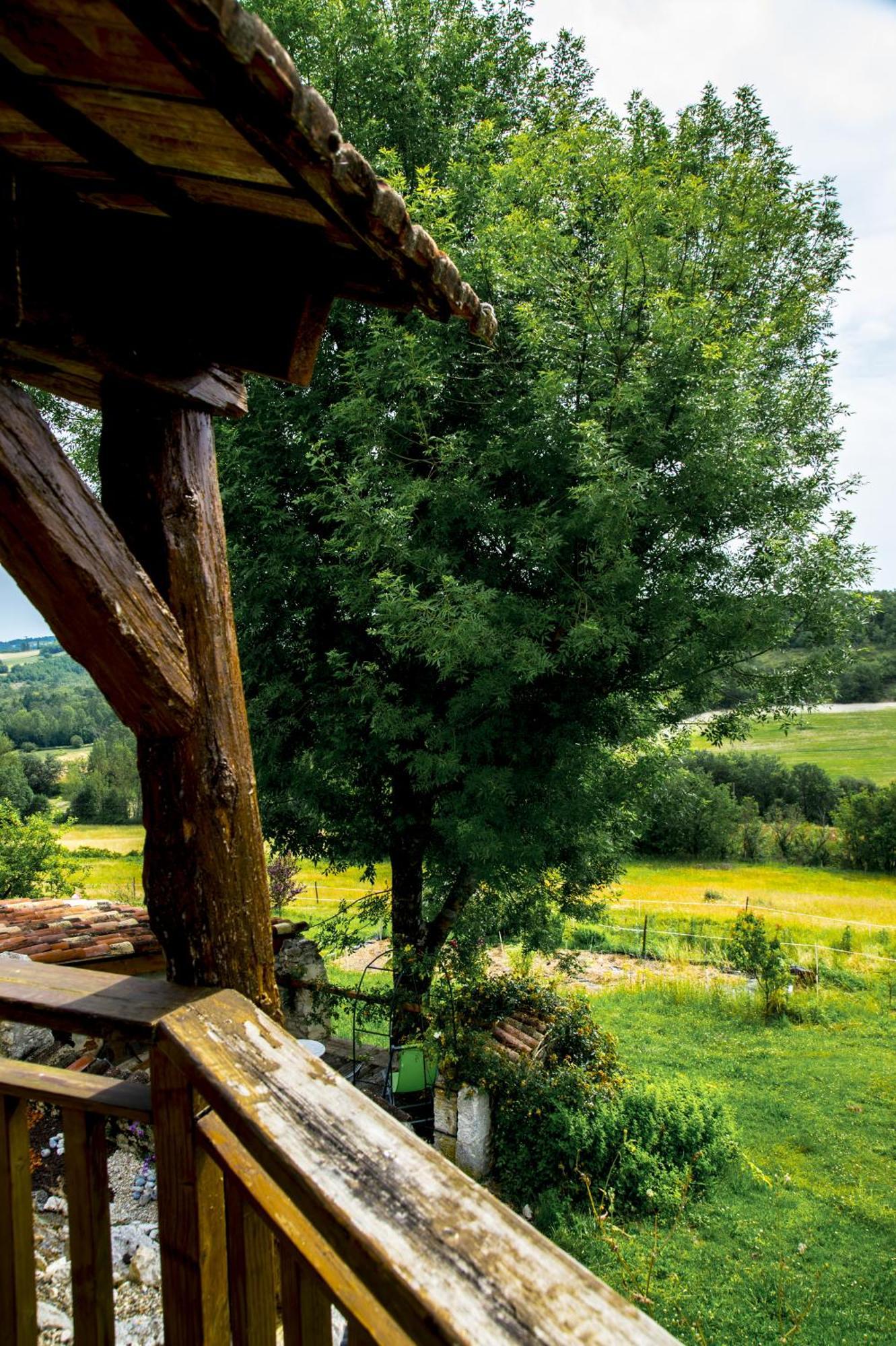 Maison de vacances Le Mas des papillons Fargues  Extérieur photo