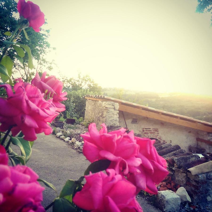 Maison de vacances Le Mas des papillons Fargues  Extérieur photo