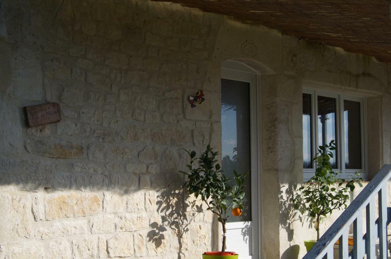 Maison de vacances Le Mas des papillons Fargues  Extérieur photo