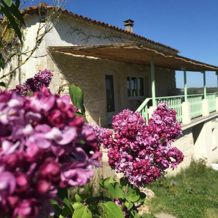 Maison de vacances Le Mas des papillons Fargues  Extérieur photo