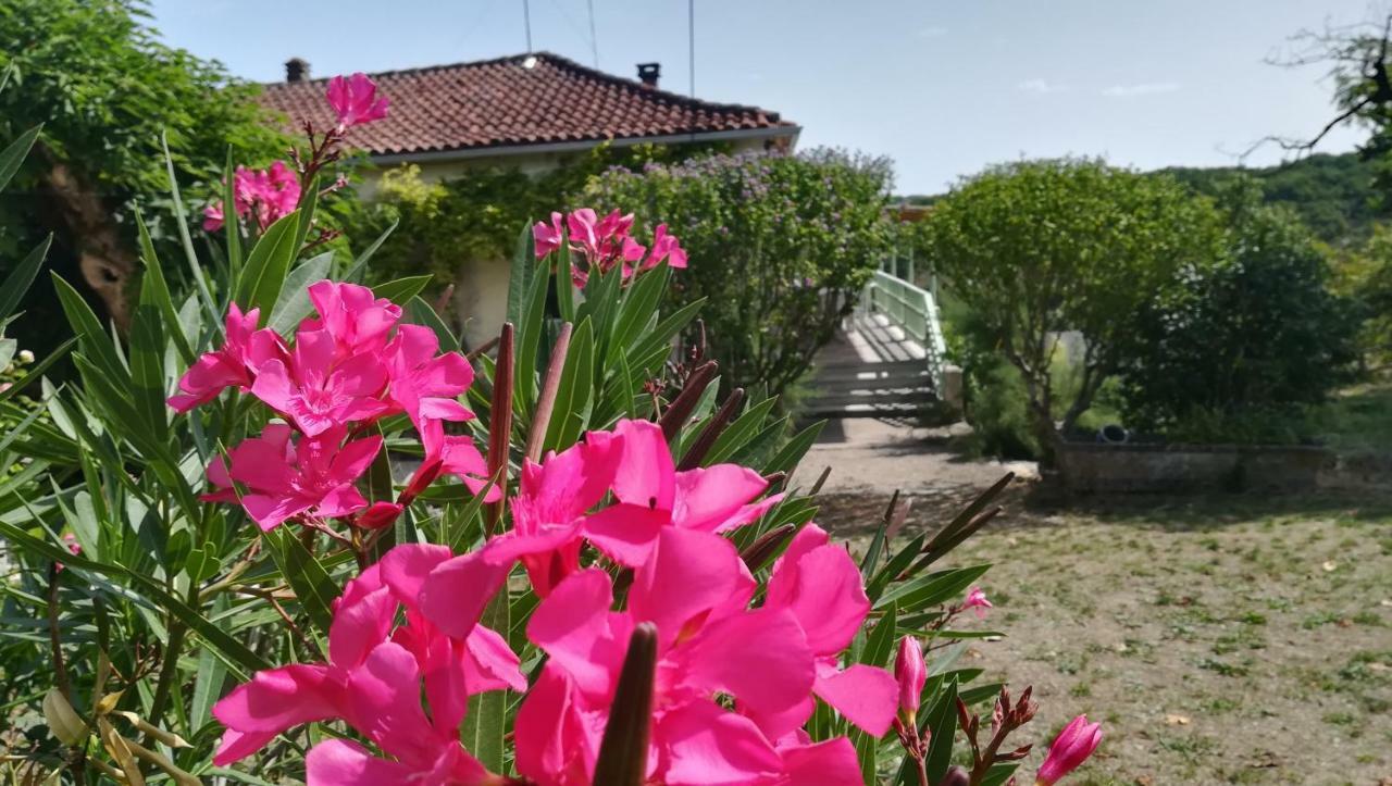 Maison de vacances Le Mas des papillons Fargues  Extérieur photo